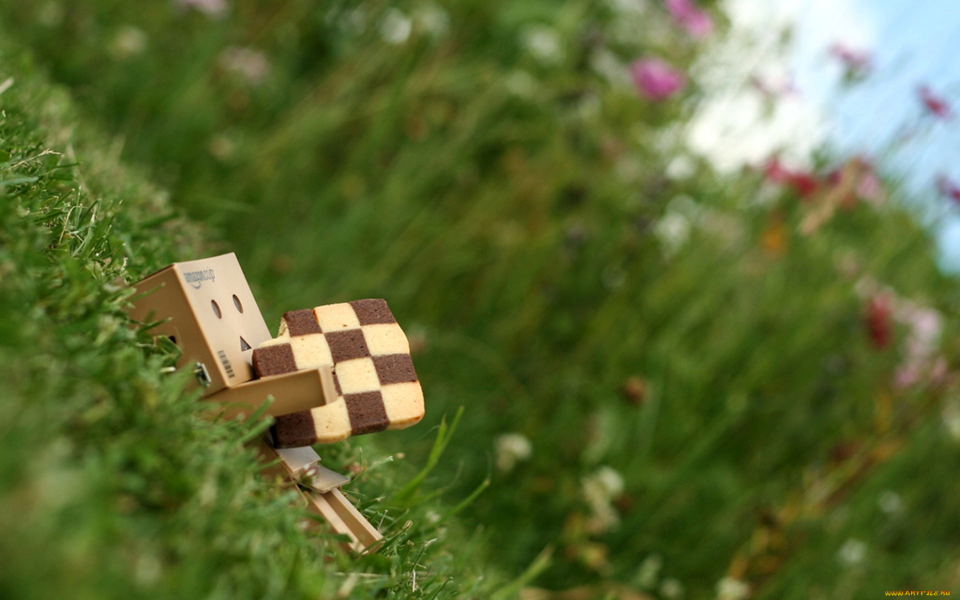 , , danboard, , 
